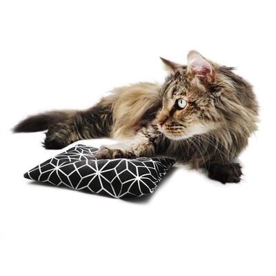 4cats Katzenspielzeug Klassik Raschelkissen mit Kater Carlos