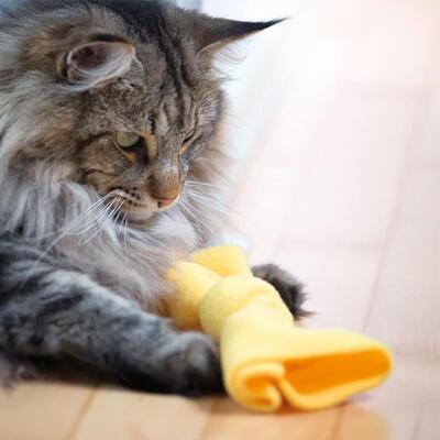 Schmuseknoten von 4cats mit Katze