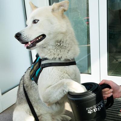 Schwarzer Paw Plunger von PerAnimal mit Hund Diamond