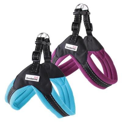 Alle Farben des Boomerang Hundegeschirr von Doodlebone®