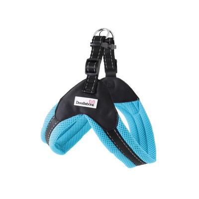 Seitenansicht des cyan Boomerang Hundegeschirrs von Doodlebone®