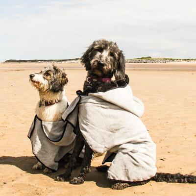 Groom Bademantel von Happy Pet mit zwei Hunden am Strand