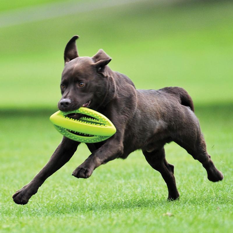 Großer Grubber interaktiver großer Rugbyball von Happy Pet mit Hund