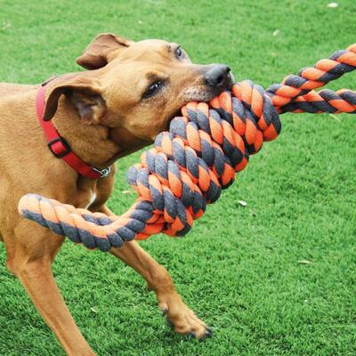 Nuts for Knots Extreme Acht mit Hund von Happy Pets