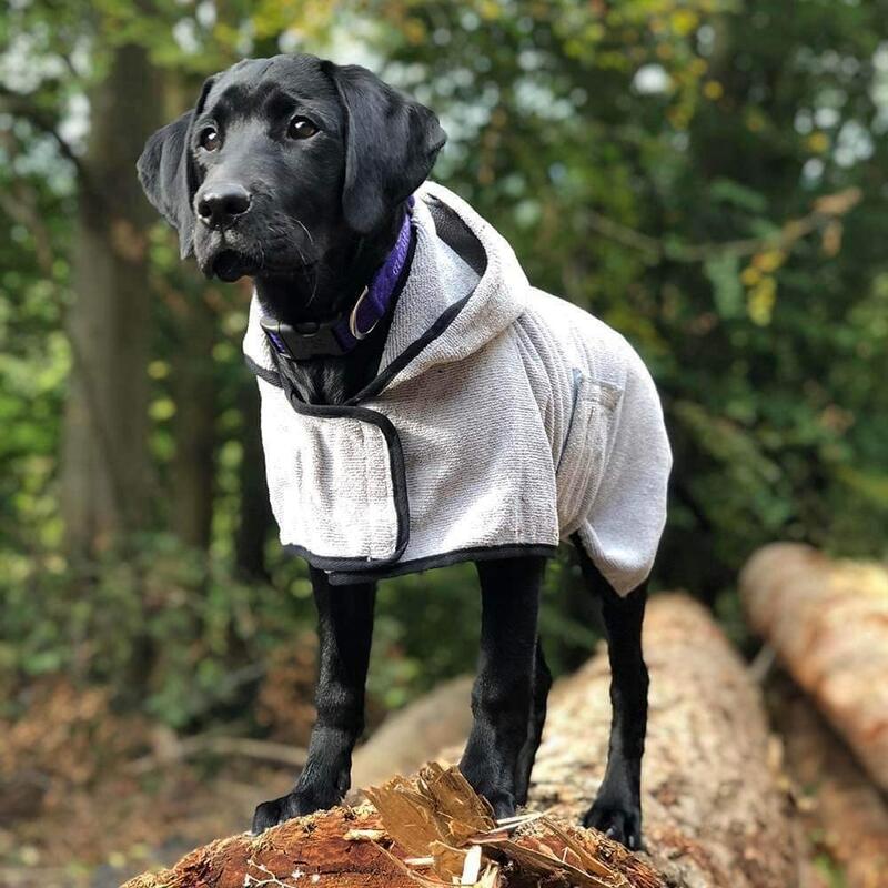 Groom Bademantel für Hunde von Happy Pet getragen von einem schwarzen Hund auf Baumstamm im Wald stehend