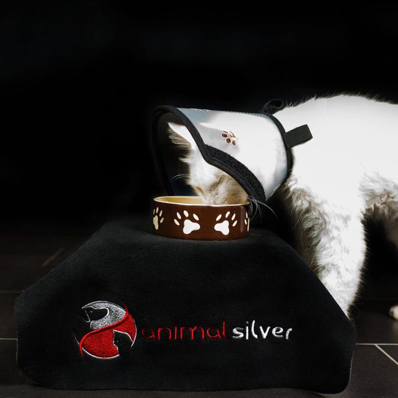Weiße Katze mit patentiertes Halskrause Pet Airs von Animalsilver isst problemlos aus Napf