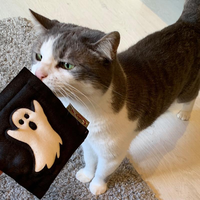 Halloween Motivkissen von 4cats mit Katze