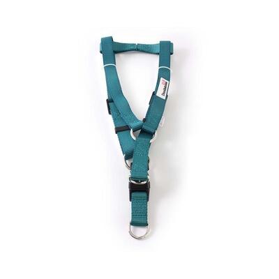 Blaugrünes Geschirr Bold von Doodlebone®