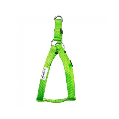 Apfelgrünes Geschirr Bold von Doodlebone®