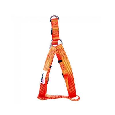 Oranges Geschirr Bold von Doodlebone®