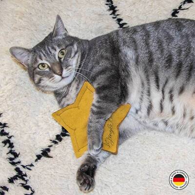 Alternative view of 4cats X-Mas Kollektion Meow Stern - einzeln