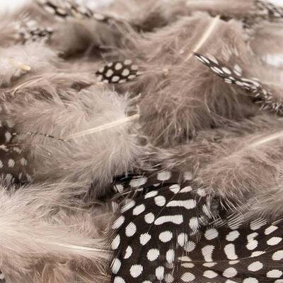 4cats-Nature-Line-Federn