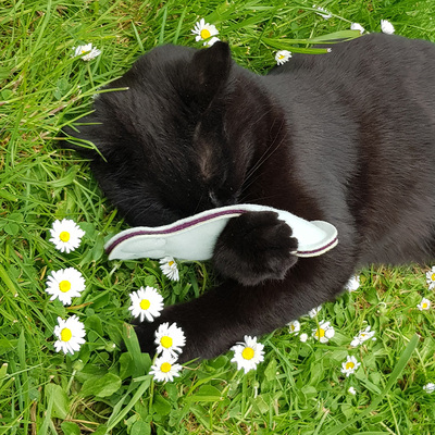 Im Gras liegende Katze hält Katzenspielzeug in Form von einem Fuß mit der Vorderpfote fest und schnuppert daran