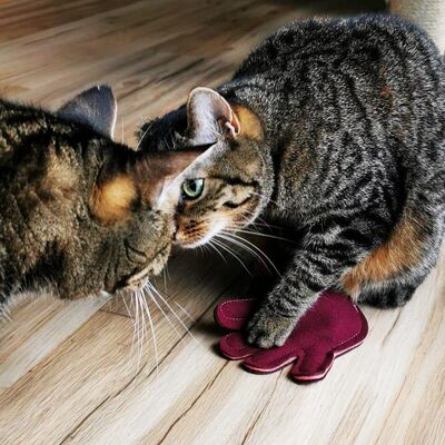 zwei Katzen mit 4cats Couples Kollektion Spielzeug Katzenkissen Hand