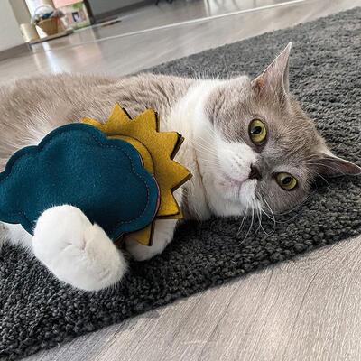 Katze spielt mit 4cats Couples Kollektion Sonne und Wolke