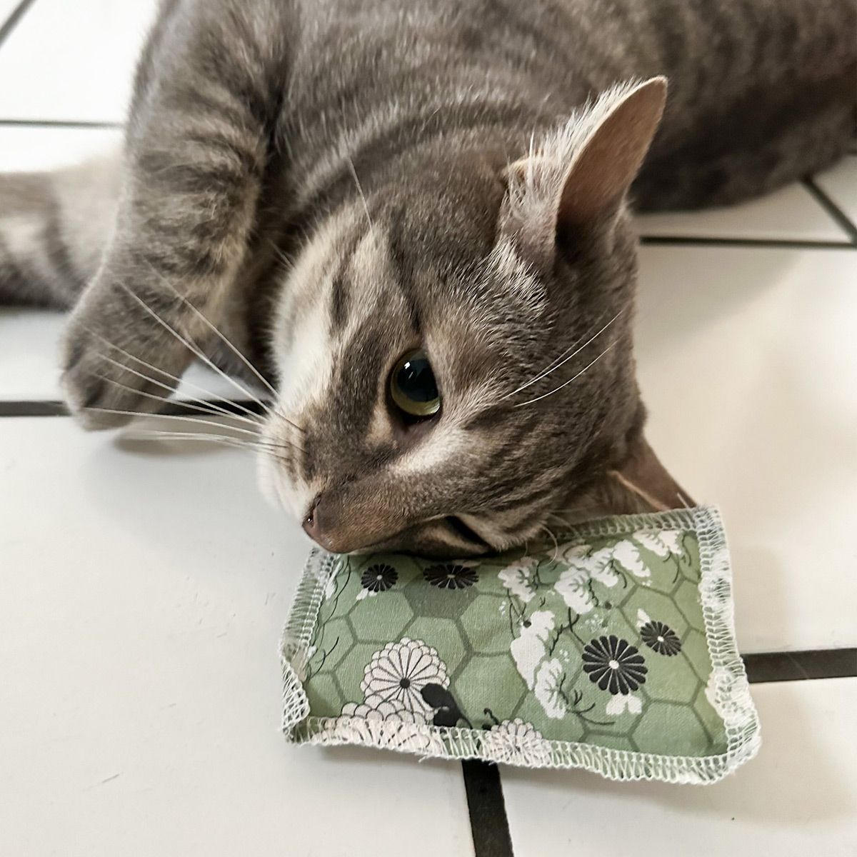 Katze mit 4cats Japan Kollektion Schmusekissen green
