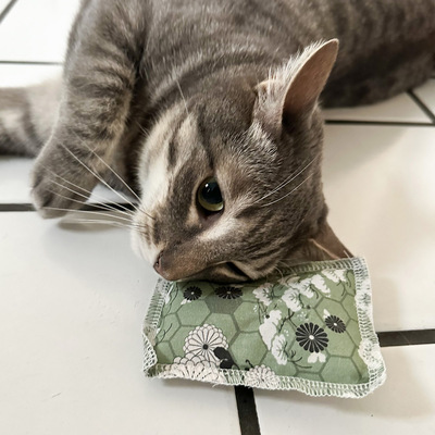 Katze reibt Köpfchen an Schmusekissen aus der 4cats Japan-Kollektion in lindgrün