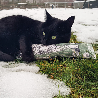 Liegende Katze hält Spielrolle aus der 4cats Japan-Kollektion mit der Pfote fest und reibt das Köpfchen daran