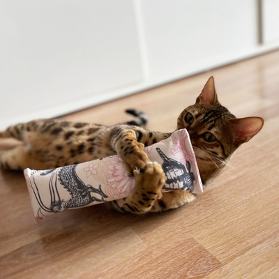 Liegende Katze umarmt Spielrolle aus der 4cats Japan-Kollektion mit beiden Pfoten und schnuppert daran