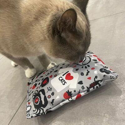 4cats Katzenspielzeug Crazy Raschelkissen Katze Boden