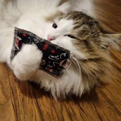 4cats Katzenspielzeug Crazy Schmusekissen Katze Charly Action