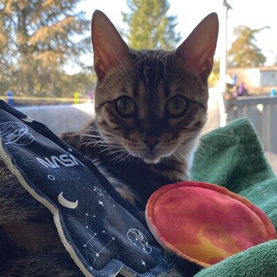 4cats Katzenspielzeug Space Couples Rakete und Mars mit Katze