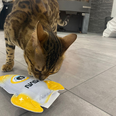 4cats Katzenspielzeug Space Kollektion Rakete Lucy mit Katze