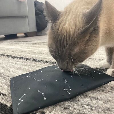 4cats Katzenspielzeug Space Kollektion Raschelkissen Katze Rueckseite