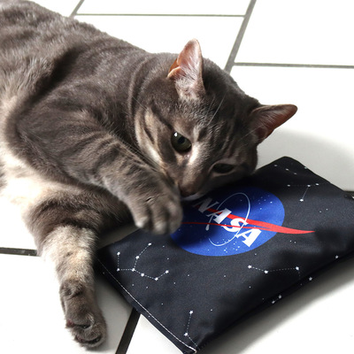 Katze reibt Köpfchen an schwarzem Raschelkissen mit großem NASA-Schriftzug aus der 4cats Space-Kollektion