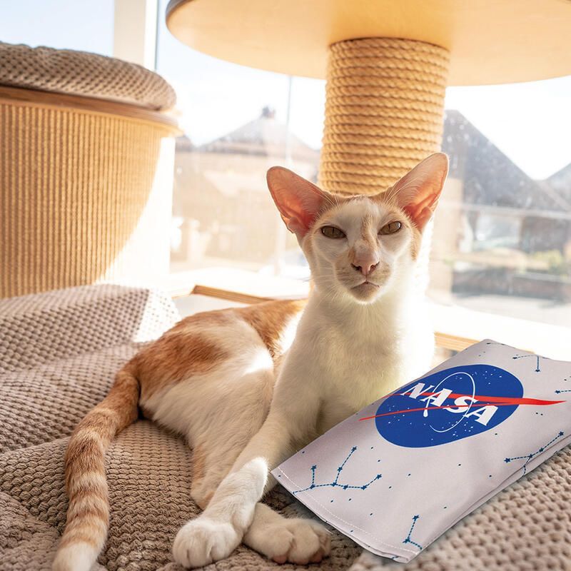 4cats Katzenspielzeug Space Kollektion Raschelkissen mit Katze