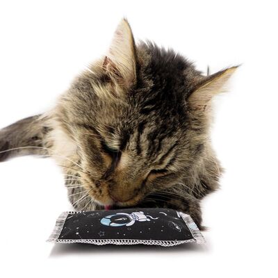 4cats Katzenspielzeug Space Kollektion Schmusekissen mit Katze Front