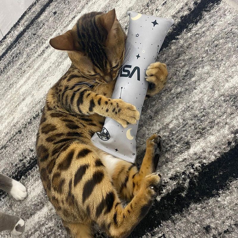 4cats Katzenspielzeug Space Kollektion Spielrolle Haustiger grau