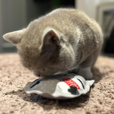 Katze schnuppert an Katzenkissen mit Ohren aus der 4cats Crazy-Kollektion, Motiv Kaffee