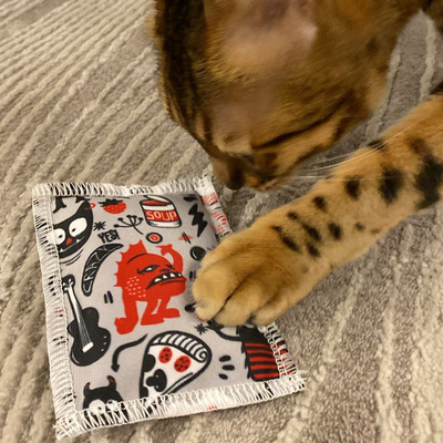 Katze legt Pfote auf Schmusekissen aus der Crazy-Comic-Kollektion in hellgrau