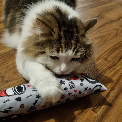 Liegende Katze legt Pfote auf Spielrolle aus der Crazy-Comic-Kollektion in hellgrau