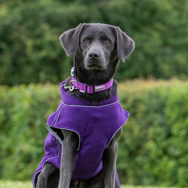 Doodlebone Fleece Hundejacke violett auf schwarzem Hund