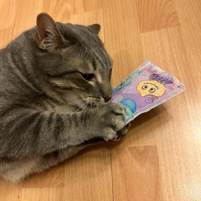 Katze spielt mit 4cats Monster Kollektion Schmusekissen