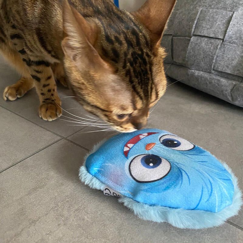 Katze spielt mit 4cats Monster Kollektion Monster blau