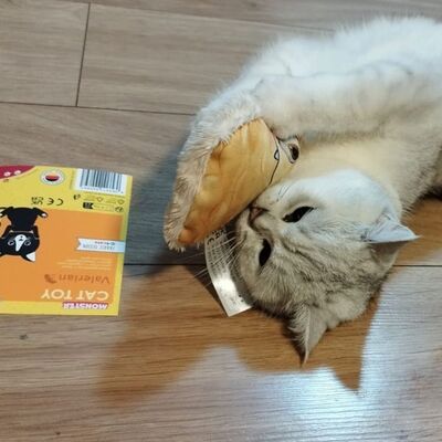 Katze rollt mit 4cats Monster Kollektion Monster gelb herum