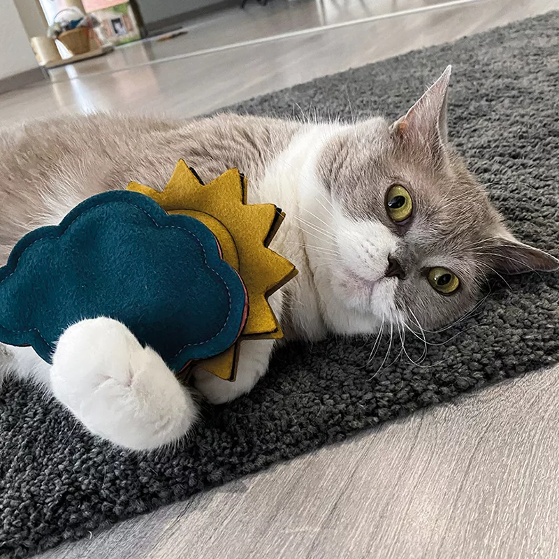Liegende Katze hält Katzenspielzeuge in Form einer Sonne und einer Wolke mit den Vorderpfoten fest