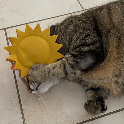 Liegende Katze drückt Katzenspielzeug in Form einer Sonne mit der Pfote an ihr Gesicht