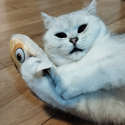 Liegende Katze hält Katzenkissen im Design gelbes Monster in beiden Pfoten