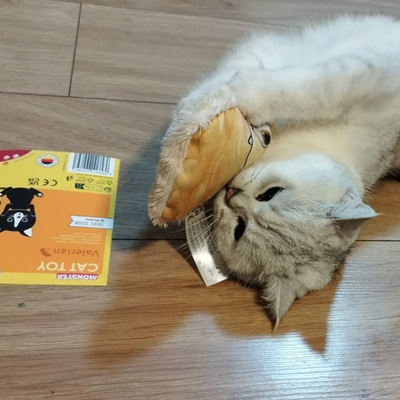 Katze hält Katzenkissen im Design gelbes Monster in beiden Pfoten und schnuppert daran