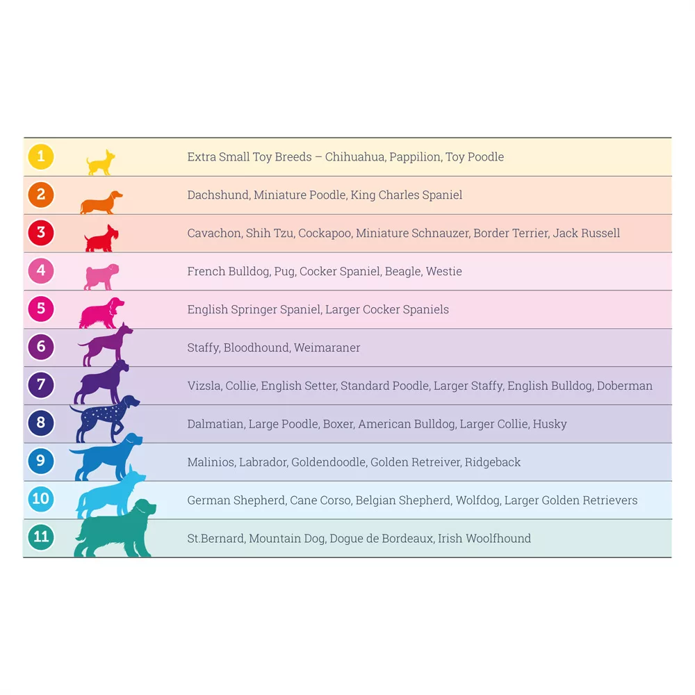 Doodlebone Bold Hundehalsband neue Groessen Tabelle