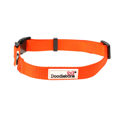 Doodlebone Bold Hundehalsband - verschiedene Farben in drei Größen – Bild 14