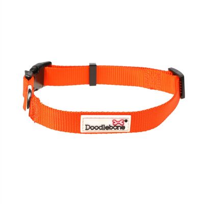 Doodlebone Originals Bold Hundehalsband Orange Tangarine