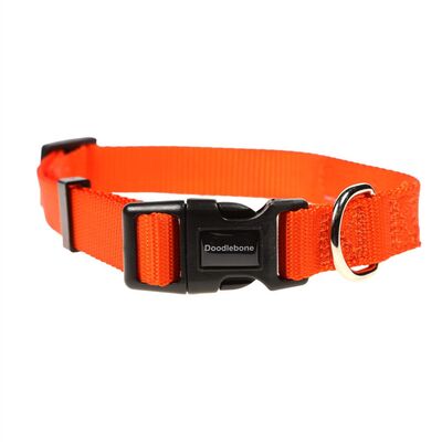 Doodlebone Originals Bold Hundehalsband Orange Tangarine