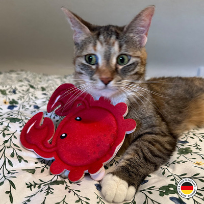 Katze liegt vor Katzenspielzeug aus Stoff in Form einer Krabbe