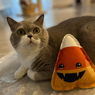 Katze mit Spielzeug in Candy Corn-Form aus der Halloween-Kollektion