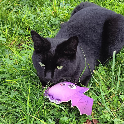 Schwarze Katze liegt im Gras, auf ihren Pfoten das Katzenspielzeug in Fledermausform